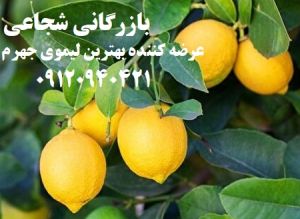 b_300_300_16777215_00_images_limojahrom5.jpg